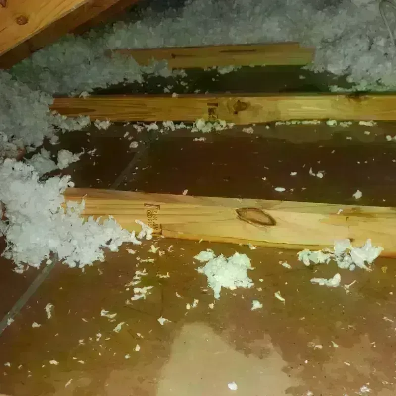 Attic Water Damage in Chilton County, AL